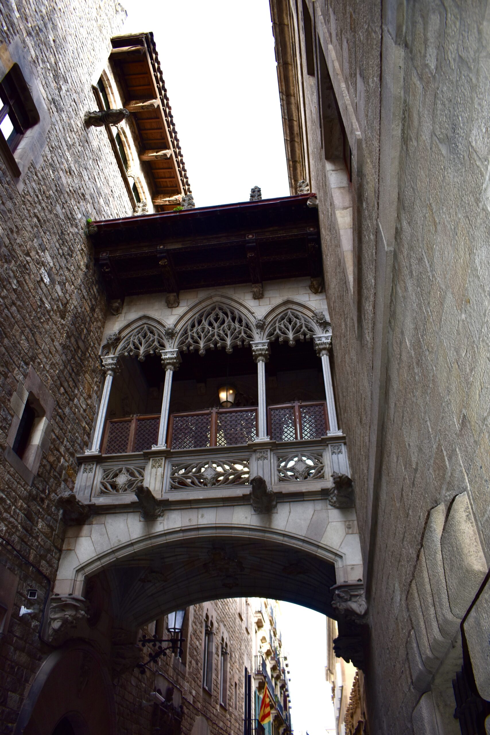 Veduta dal basso del Ponte del Bisbe: arco, prospettiva e dettagli