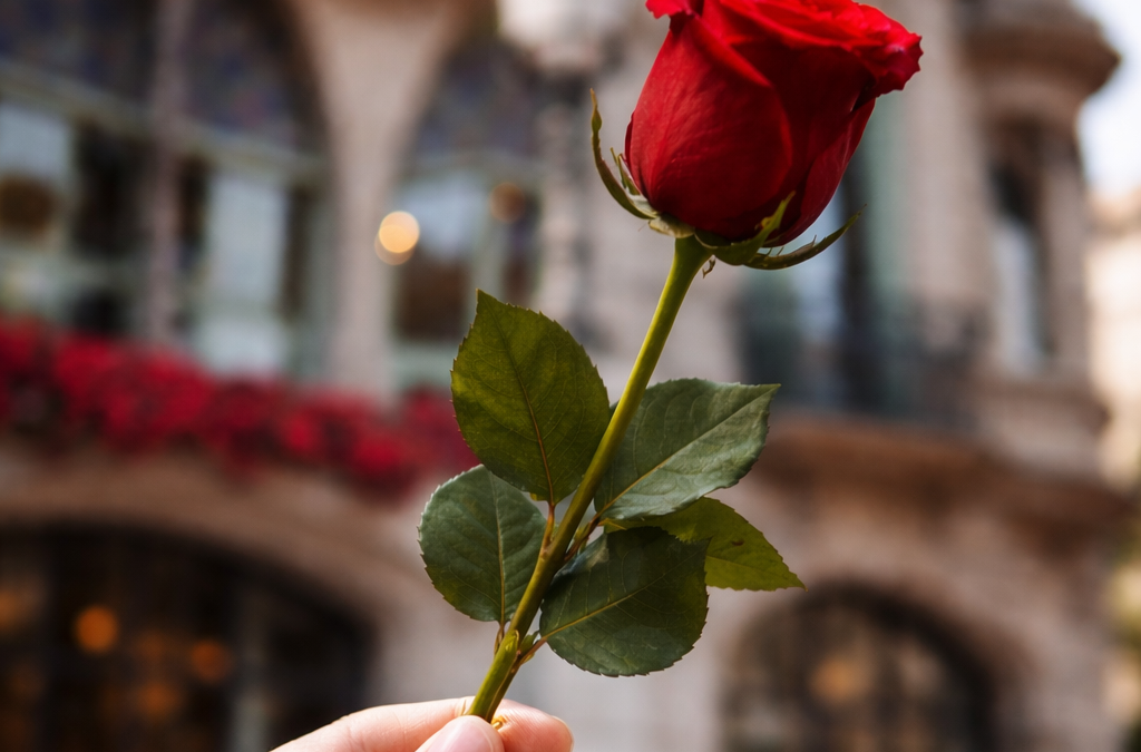 Sant Jordi a Barcellona: cosa fare il 23 aprile tra rose, libri e modernismo