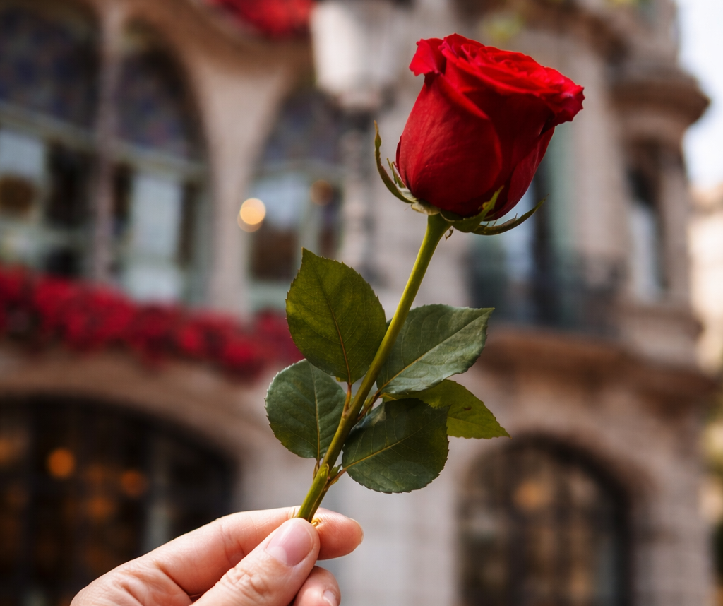 Mano che regge una rosa rossa davanti a Casa Batlló a Barcellona