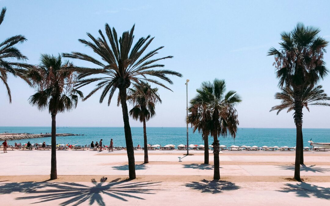 Barcellona a maggio: cosa fare, eventi, tradizioni e tour per vivere la città come un local