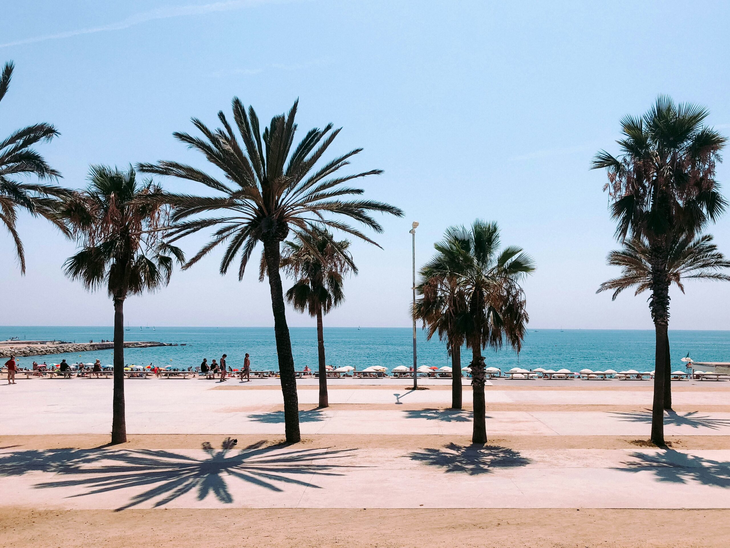 Lungomare con palme a Barcellona a maggio